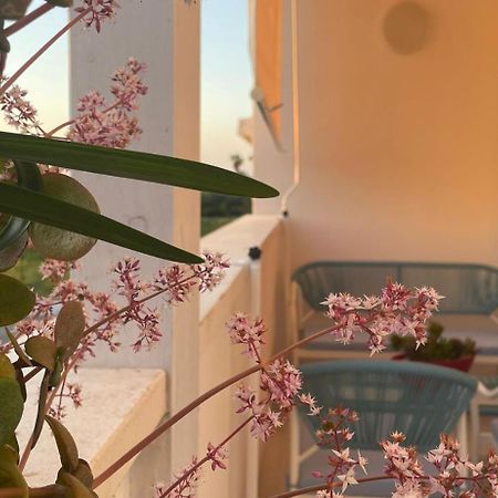 Seashell Guest House Torre Marino Екстер'єр фото